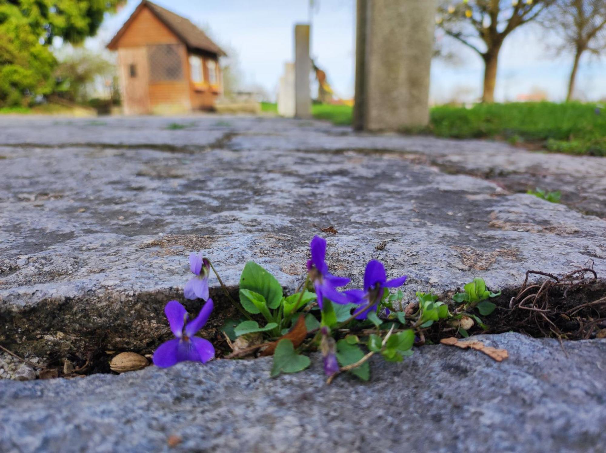 Peterseil'S Radl Zimmer Mauthausen Buitenkant foto